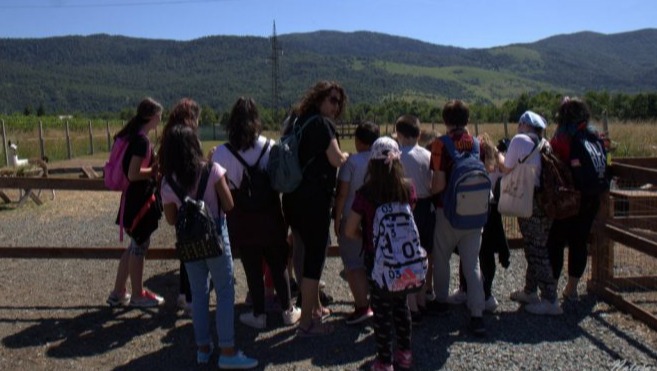 Excursion to Lič
